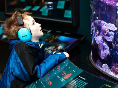 A red-headed boy wearing headphones gazes with fascination at an aquarium tank